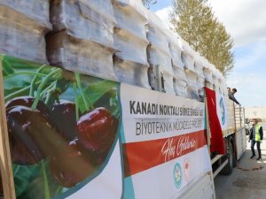 Manisa Büyükşehir Belediyesinden Kula Ve Selendili Üreticilere Destek