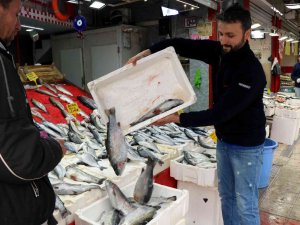Balık Tezgahları Kültür Balıklarına Kaldı