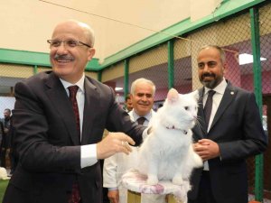 Yök Başkanı Prof. Dr. Özvar Van Kedilerini Sevdi