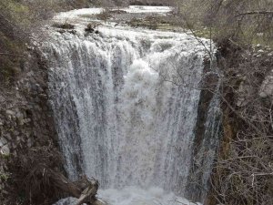 Doğangir Şelalesi Piknik Ve Mesire Alanı Olacak