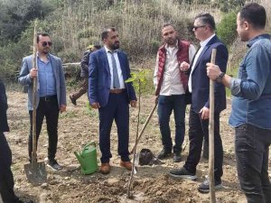 Ayvalık’ta İncir Demonstrasyon Bahçesi