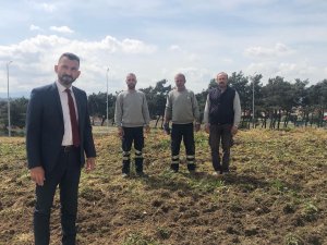 Burhaniye’ De Gastrobaçem Etkinliğinde Şifalı Bitkiler Anlatıldı