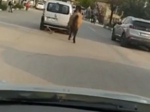 Bursa’da Atını Aracına Bağlayıp Çekti; O Anlar Kameraya Yansıdı