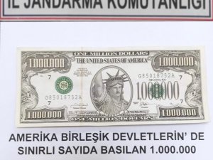Gürpınar’da 1 Milyon Dolarlık Banknot Ele Geçirildi