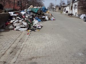 60 Yaşındaki Kadının Evinden 2 Kamyon Çöp Çıkarıldı