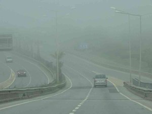 Trabzon’da Sis Hayatı Olumsuz Etkiliyor