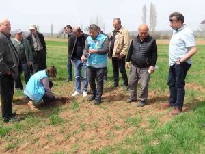 Kütahya’da ’Zabrus’ Seferberliği