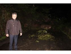 Zonguldak’ta Heyelan