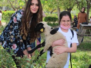 Antalya’da Çocuklar Tarımı Ve Hayvancılığı Uygulamalı Öğrendi