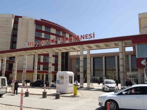 Muş’ta Korona Virüs Vakaları Düştü, Yoğun Bakım Servisleri Kapatıldı