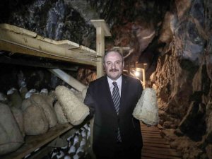Bakan Varank: "Divle Obruk Peynirinin Kapasitesini Arttırmayı Hedefliyoruz"