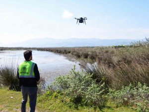 Vektörle Havadan Mücadele