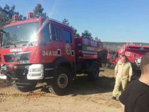 Kırklareli’nde Orman Yangını: 12 Dekar Alan Zarar Gördü
