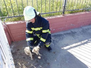 Manisa İ̇tfaiyesi Sevimli Dostların Yardımına Koştu