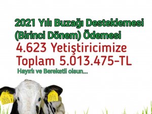 Sinoplu Yetiştiricilere 5 Milyon Tl Tarımsal Destek