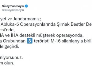 Bakan Soylu Duyurdu: “Besta Grubundan 3 Terörist Silahlarıyla Birlikte Ölü Ele Geçirildi”