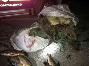 Sinop’ta Yasak Avcılık Yapan İki Şahıs 40 Kilo Sazanla Yakalandı