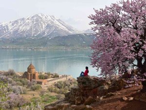 Badem Çiçekleriyle Renklenen Akdamar Adası’nda Görsel Şölen