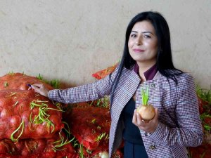 Çimlenmiş Soğan, Patates Ve Sarımsak Seferberliği