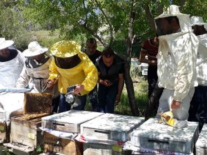 Arıcılık Kursiyerleri İlk Eğitimlerini Aldı