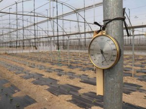 Ucuz Sebze İçin Geri Sayım Başladı