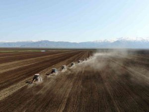 Muş Ovası’nda Ekim Mesaisi