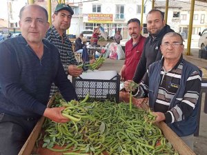 İ̇lkbahar Sebzesi Baklada Hasat Zamanı