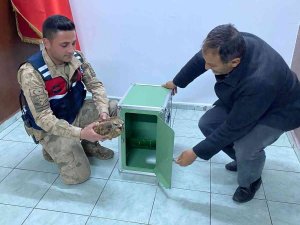 Jandarmanın Yaralı Bulduğu Kızıl Şahin Tedaviye Alındı