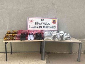 Şırnak’ta Terörün Finans Kaynaklarına Operasyon: 148 Gözaltı