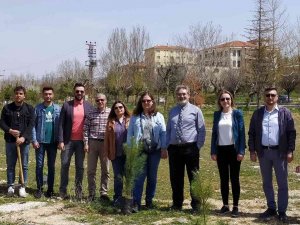 Üniversite Hatıra Ormanı Oluşturdular