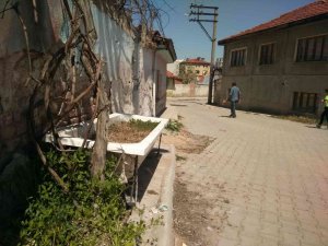 Eskiyen Küvetini Saksıya Dönüştürerek İçine Sarımsak Ekti