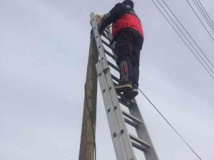 Direkte Mahsur Kalan Kedi Kurtarıldı