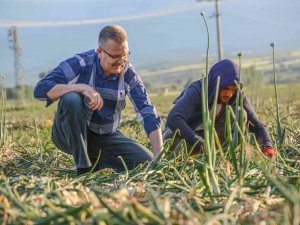 Karacabey’de Arazi Yollarına Rahat Ve Güvenli Ulaşım İçin Düzenlemeler Sürüyor