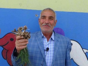 Bu Otun Kilosu Bin Liradan Yok Satıyor