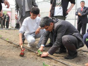 Hükümlüler Sebze Üretimi Yaparak Meslek Edinecek