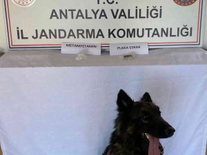 Yolcu Otobüsünde 3 Kilo 600 Gram Uyuşturucu Ele Geçirildi