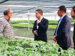 Mhp’li Bulut, Ata Tohumuna Dikkat Çekti