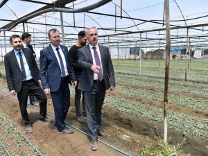 Isparta’nın Yaş Sebze Merkezi Deregümü’nde Sezon Açıldı
