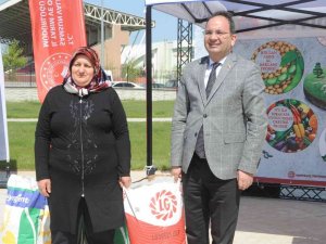 Samsun’da Çiftçilere 600 Torba Ayçiçeği Tohumu Dağıtıldı