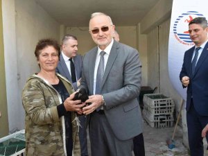 OMÜ Projesiyle, Sinop Gerzeli Çiftçilere ‘Gerze Tavuğu’ Dağıtıldı