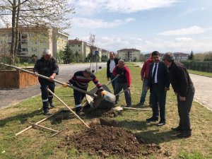 Mahalleler Yeni Çehresine Kavuşuyor