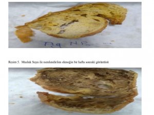 Kdz. Ereğli Bilsem Ekmekte Küf Sorununa Çözüm Üretti