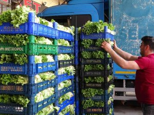 Tokat’ta Sebze Ve Meyve Fiyatlarında Düşüş