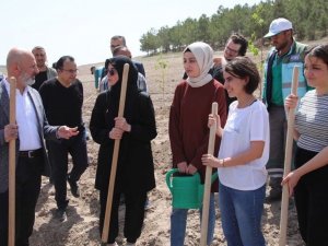 Başkan Çolakbayrakdar, Üniversite Öğrencileriyle Vuslat Ormanına Fidan Dikti