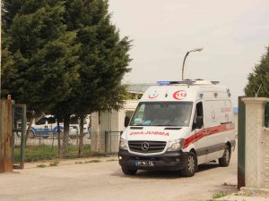 Hayvan Kesimi Bırakıp Kavgaya Tutuştular