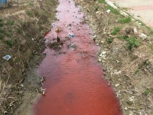 Kırmızı Akan Derede Tehlikeli Maddeye Rastlanmadı