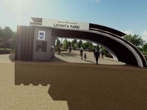 Başkentliler Lavanta Parkı İle Buluşacak