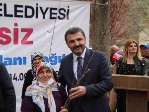 Gümüşhane’de 5 Bin Ceviz Fidan Dağıtıldı