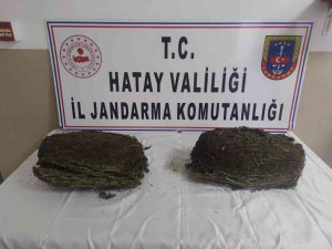 Hatay’da Uyuşturucu Operasyonu
