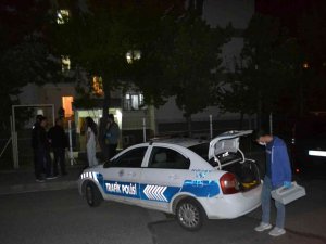3. Kattan Düşerek Hayatını Kaybetti
